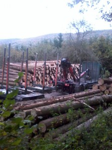 Holzabfuhr